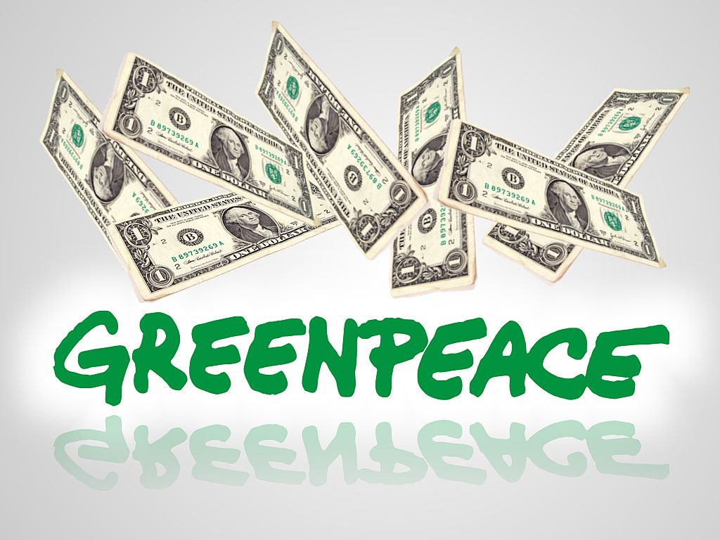 La verdad sobre Greenpeace y la “moda verde”