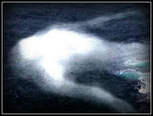 ningen.  The Giant Humanoid of the Antarctic Seas