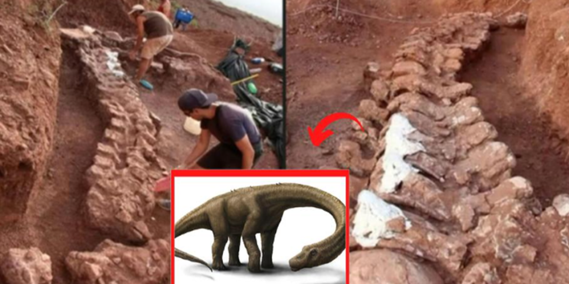 El esqueleto de dinosaurio 'gigante' recién descubierto que pesa 65 toneladas abre misterios en el mundo de la paleontología