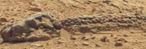 Did dinosaurs exist on the red planet?