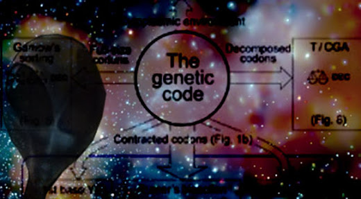 There is an alien code in our genes