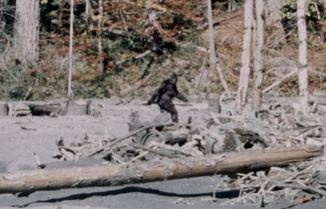 Bigfoot: prehistoric animal or legendary hoax?