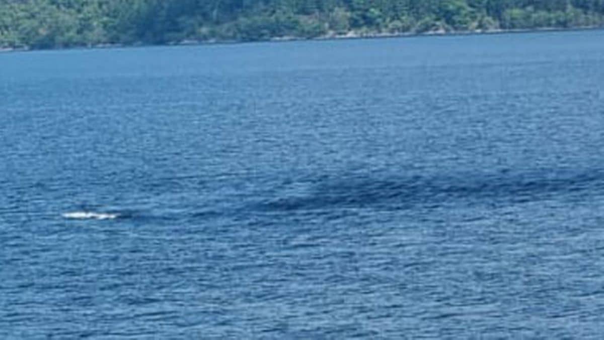 Tourist observes a "huge dark spot" in Loch Ness. Is it "Nessie"?