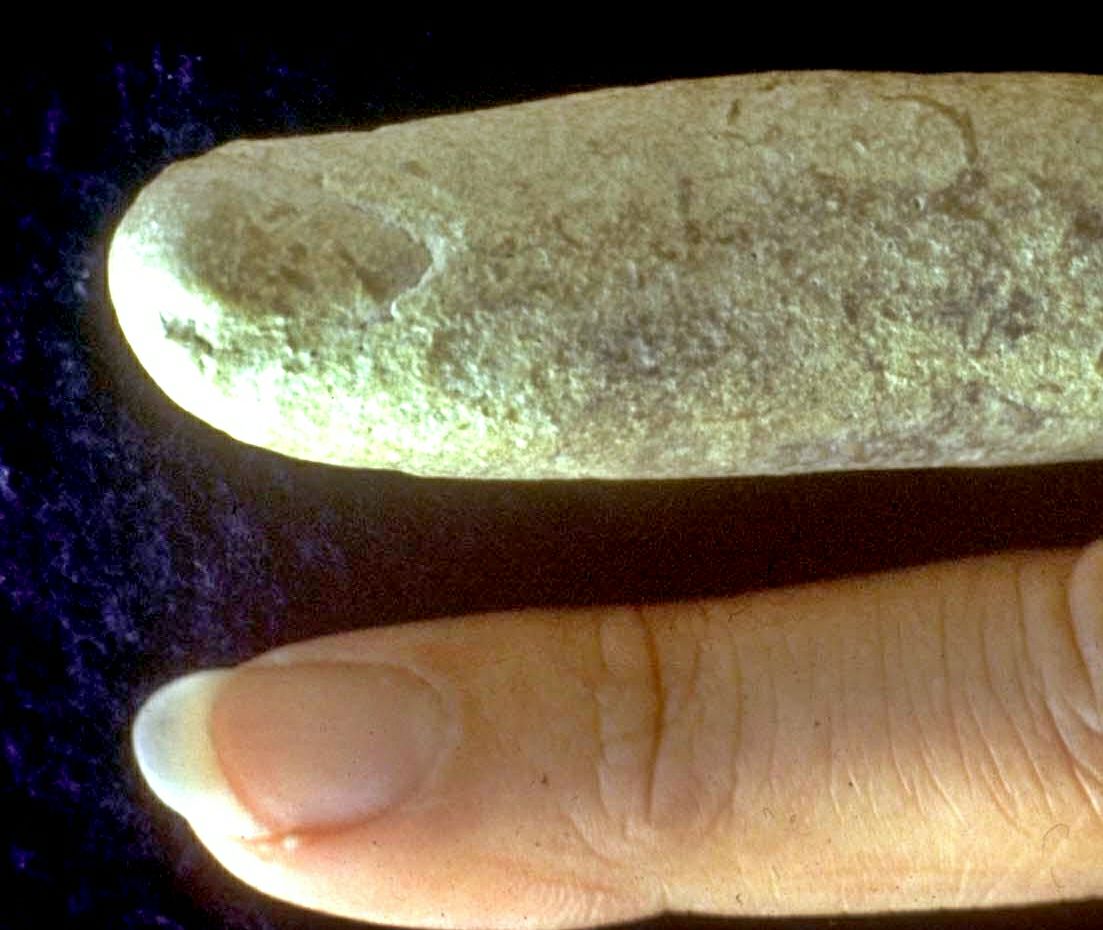 fossil finger