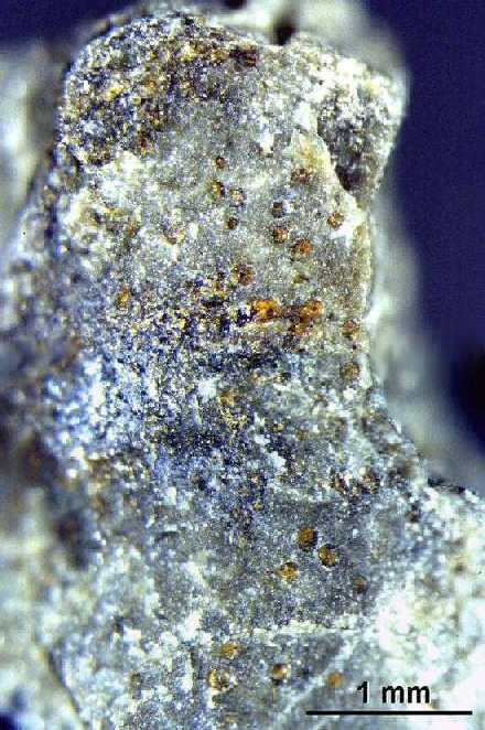 el meteorito alh84001 la evidencia definitiva de vida en marte silenciada 3