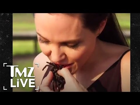 ¿Angelina Jolie come arañas? | TMZ en vivo