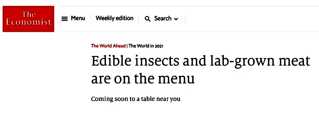 ¿Por qué se promueve el consumo de insectos y los funcionarios intentan desesperadamente alimentarnos con cucarachas? ¿Se avecinan tiempos de hambruna y escasez de alimentos? 6