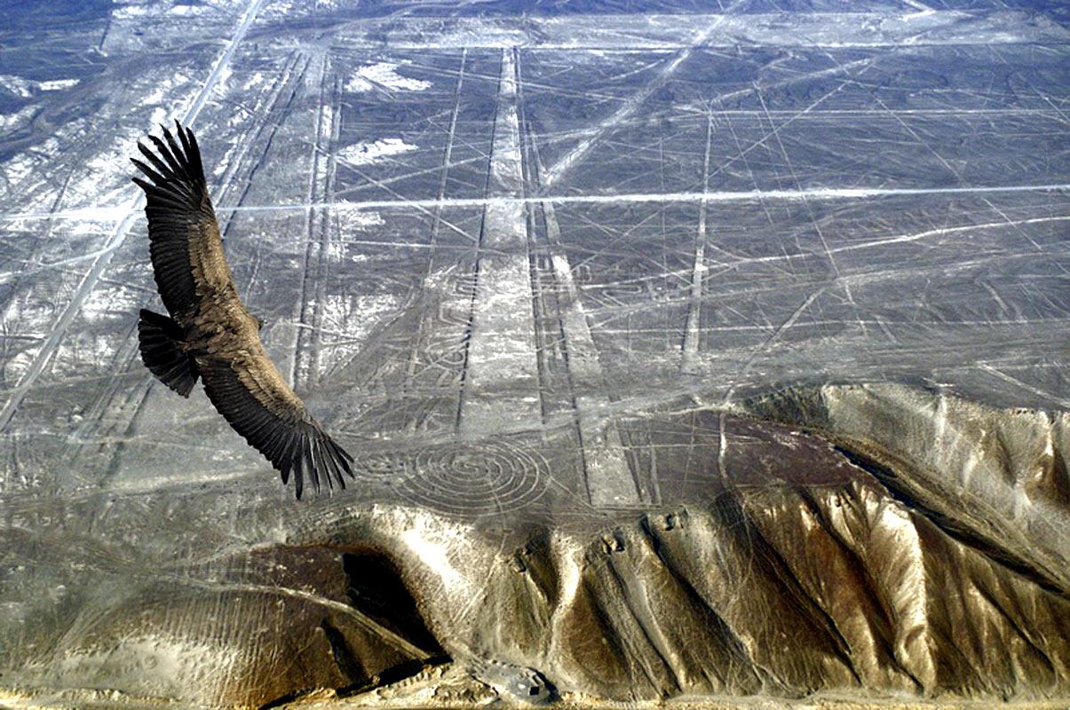 Las Líneas de Nazca: ¿antiguas pistas de "vimana"? 1