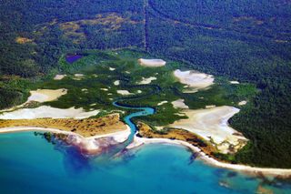 Foto aérea de salinas en las afueras de Darwin, Territorio del Norte, Australia. Una pequeña corriente de marea drena un bosque de manglares con dunas de arena y salinas que forman este ecosistema de mareas.