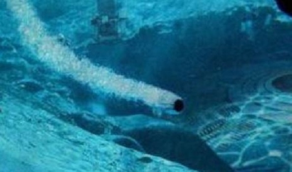 misterioso objeto cruzo el oceano mas rapido que el sonido cerca de un submarino nuclear