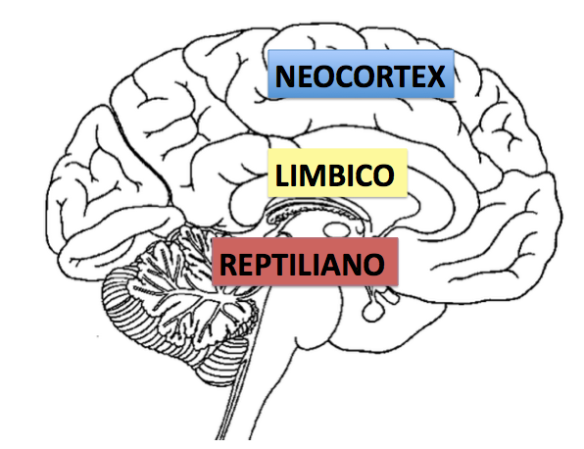 Trascendiendo al Reptil.